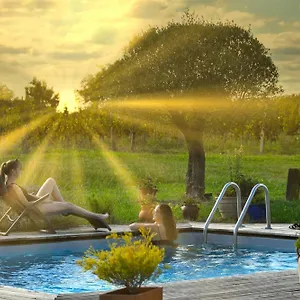https://gite-les-vignes.midi-pyreneeshotels.com